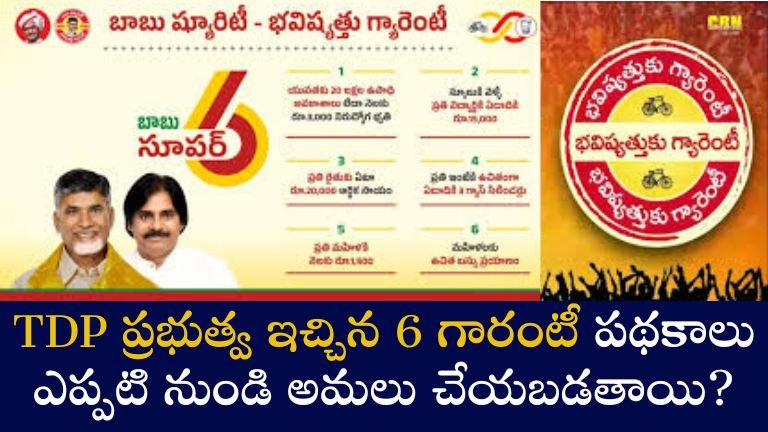 TDP 6 guarantee schemes