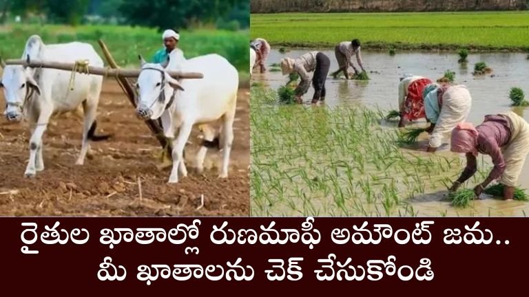 Loan Waiver new